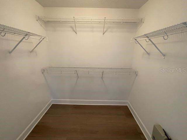 409 S Westland Avenue #3 Tampa FL 33606 TB8498404 image8