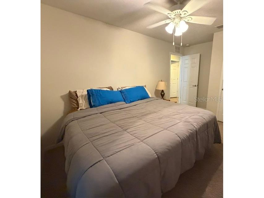 409 Sea Holly Drive Brooksville FL 34604 TB8512751 image14