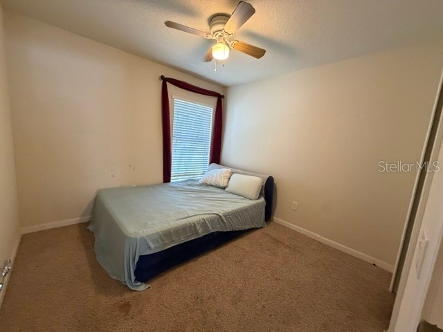 409 Sea Holly Drive Brooksville FL 34604 TB8512751 image15