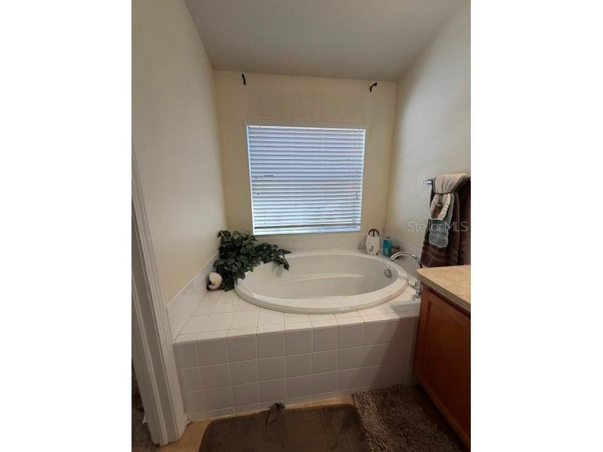 409 Sea Holly Drive Brooksville FL 34604 TB8512751 image23