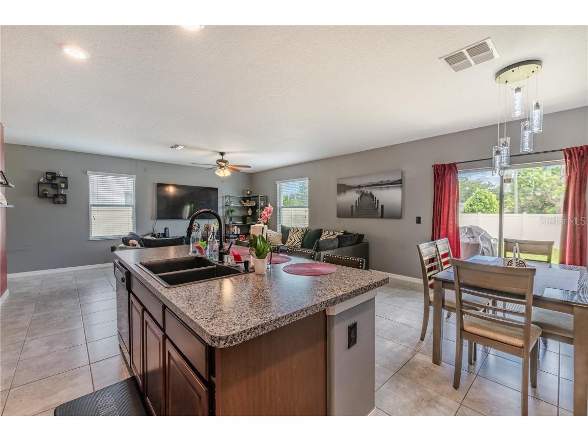 409 Serenity Mill Loop Ruskin FL 33570 T3537718 image15