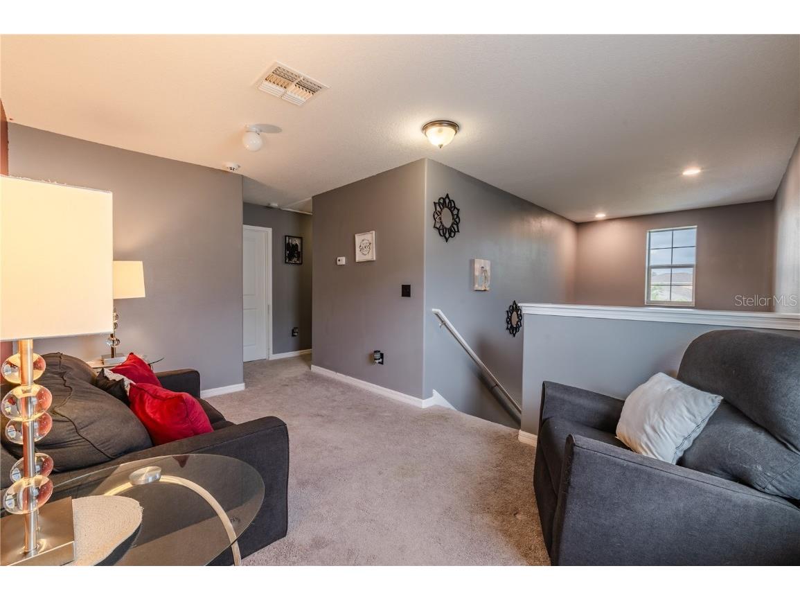 409 Serenity Mill Loop Ruskin FL 33570 T3537718 image17