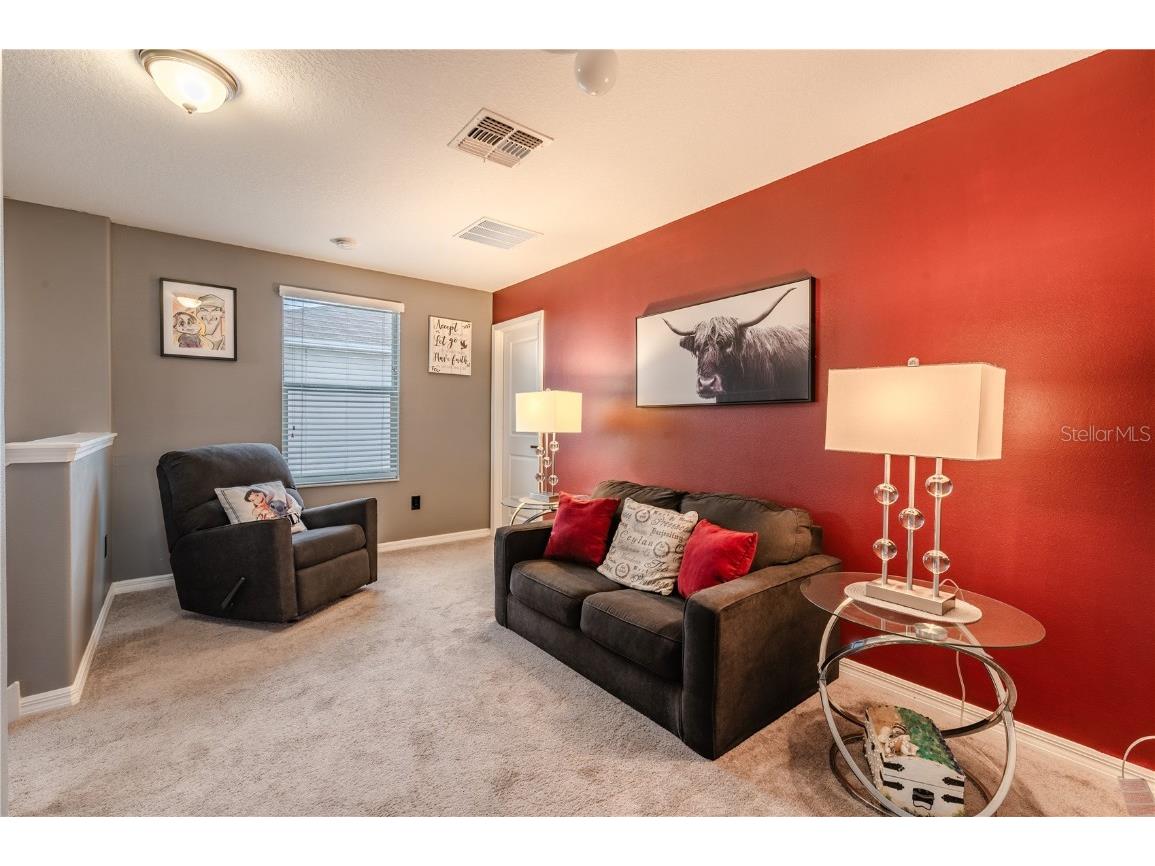 409 Serenity Mill Loop Ruskin FL 33570 T3537718 image18