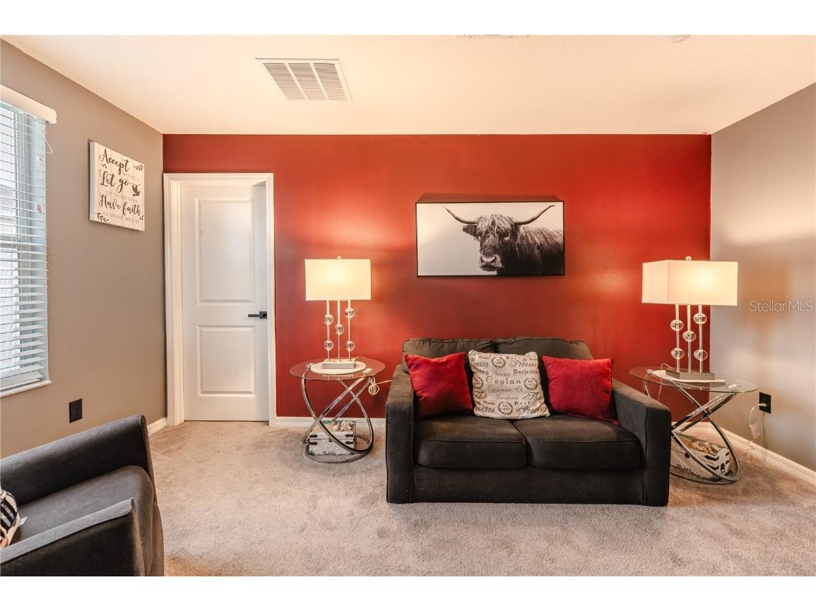 409 Serenity Mill Loop Ruskin FL 33570 T3537718 image19