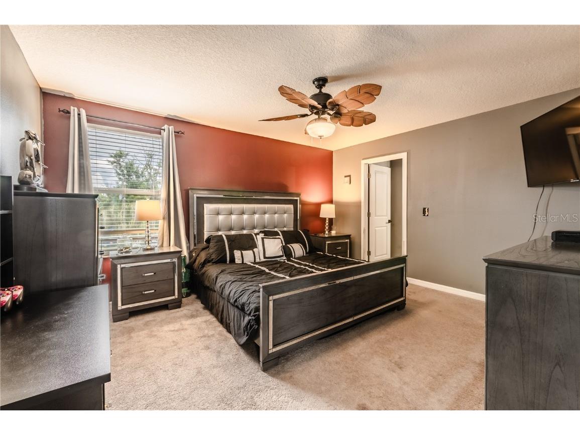 409 Serenity Mill Loop Ruskin FL 33570 T3537718 image20