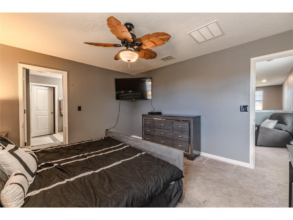 409 Serenity Mill Loop Ruskin FL 33570 T3537718 image21