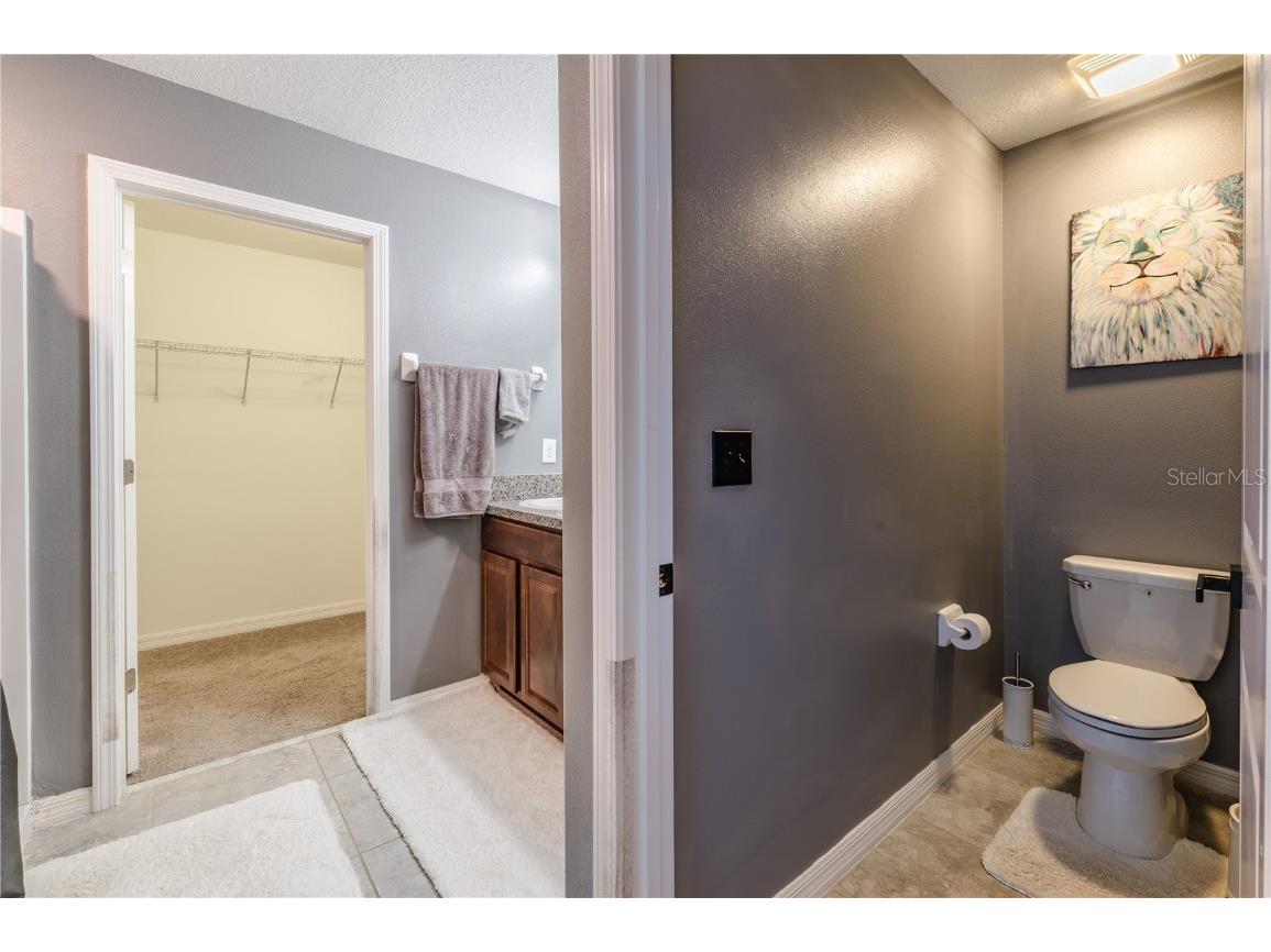 409 Serenity Mill Loop Ruskin FL 33570 T3537718 image24