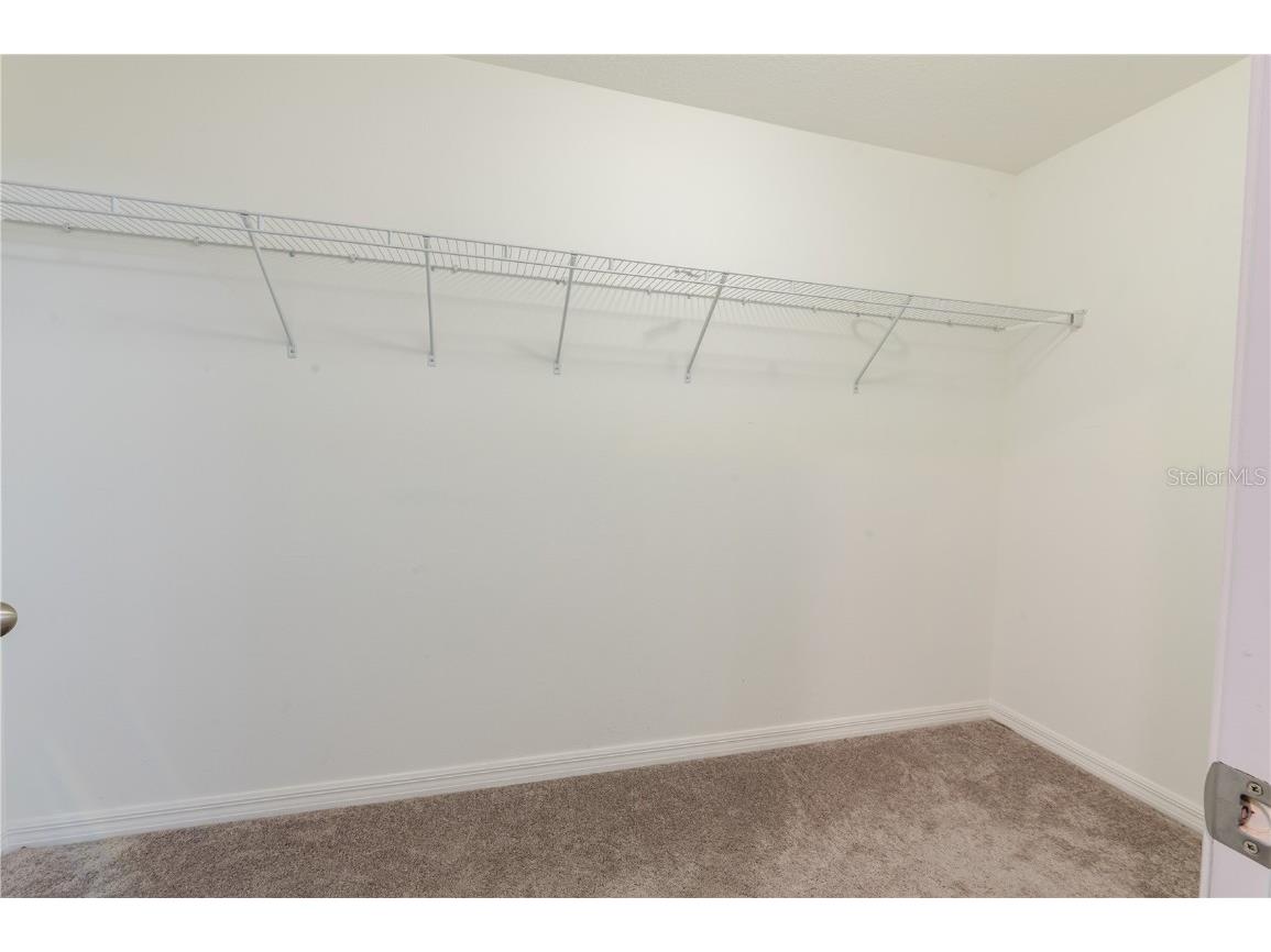 409 Serenity Mill Loop Ruskin FL 33570 T3537718 image25