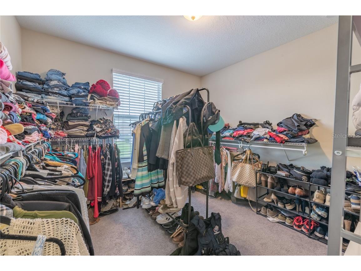 409 Serenity Mill Loop Ruskin FL 33570 T3537718 image29