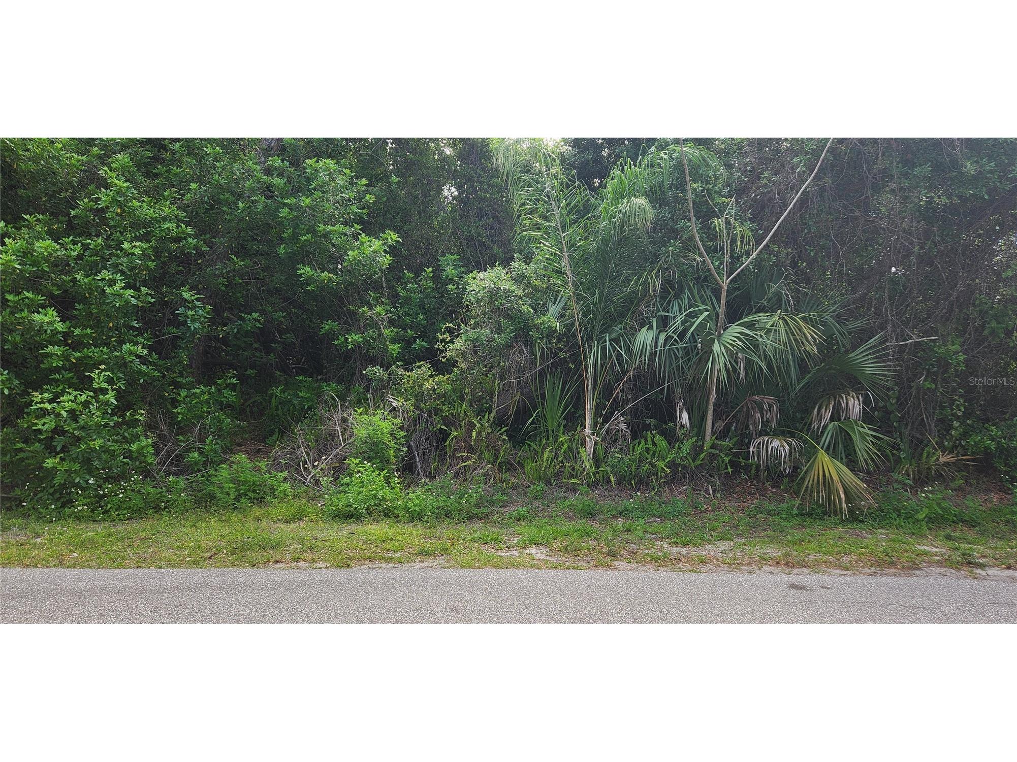 409 Verona Street Port Charlotte FL 33948 C7524166 image2