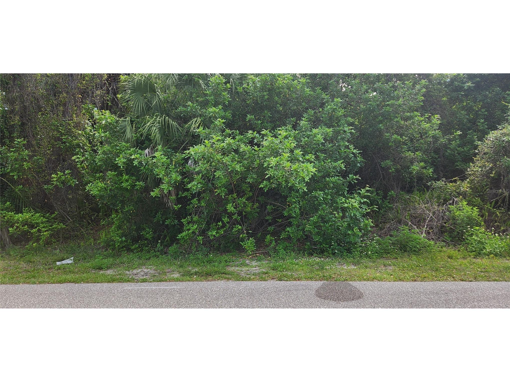 409 Verona Street Port Charlotte FL 33948 C7524166 image3