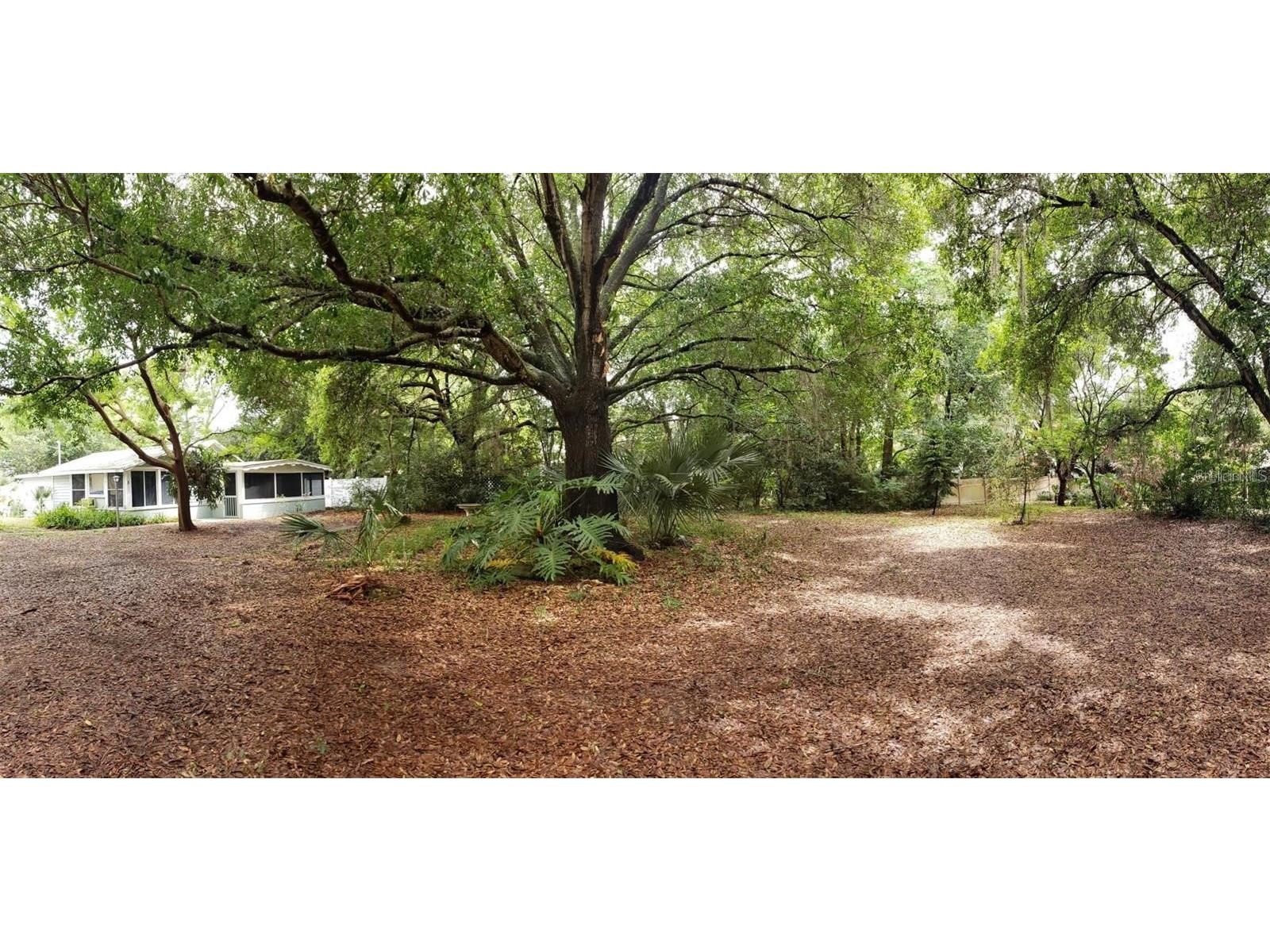 409 W Pearl Street Clermont FL 34715 G5115500 image11