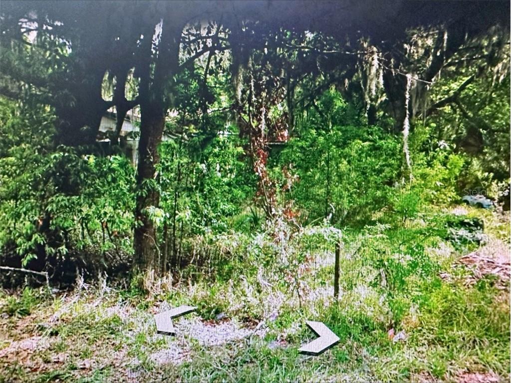 409 W Towles Avenue Palatka FL 32177 A4602288 image1