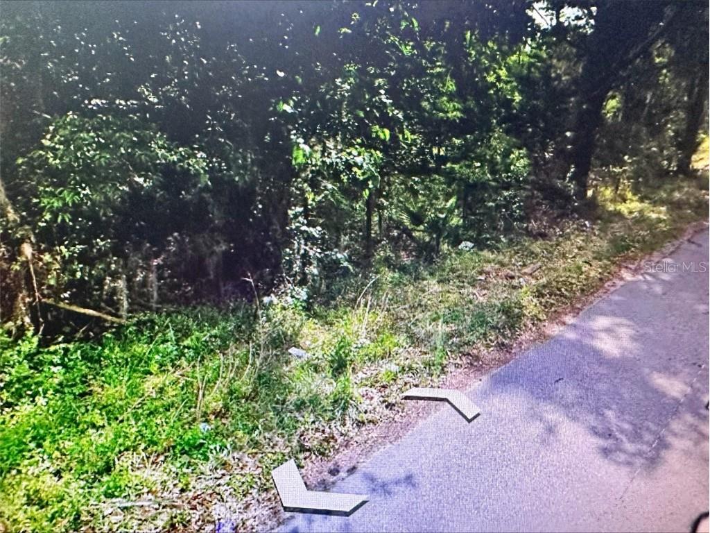 409 W Towles Avenue Palatka FL 32177 A4602288 image2