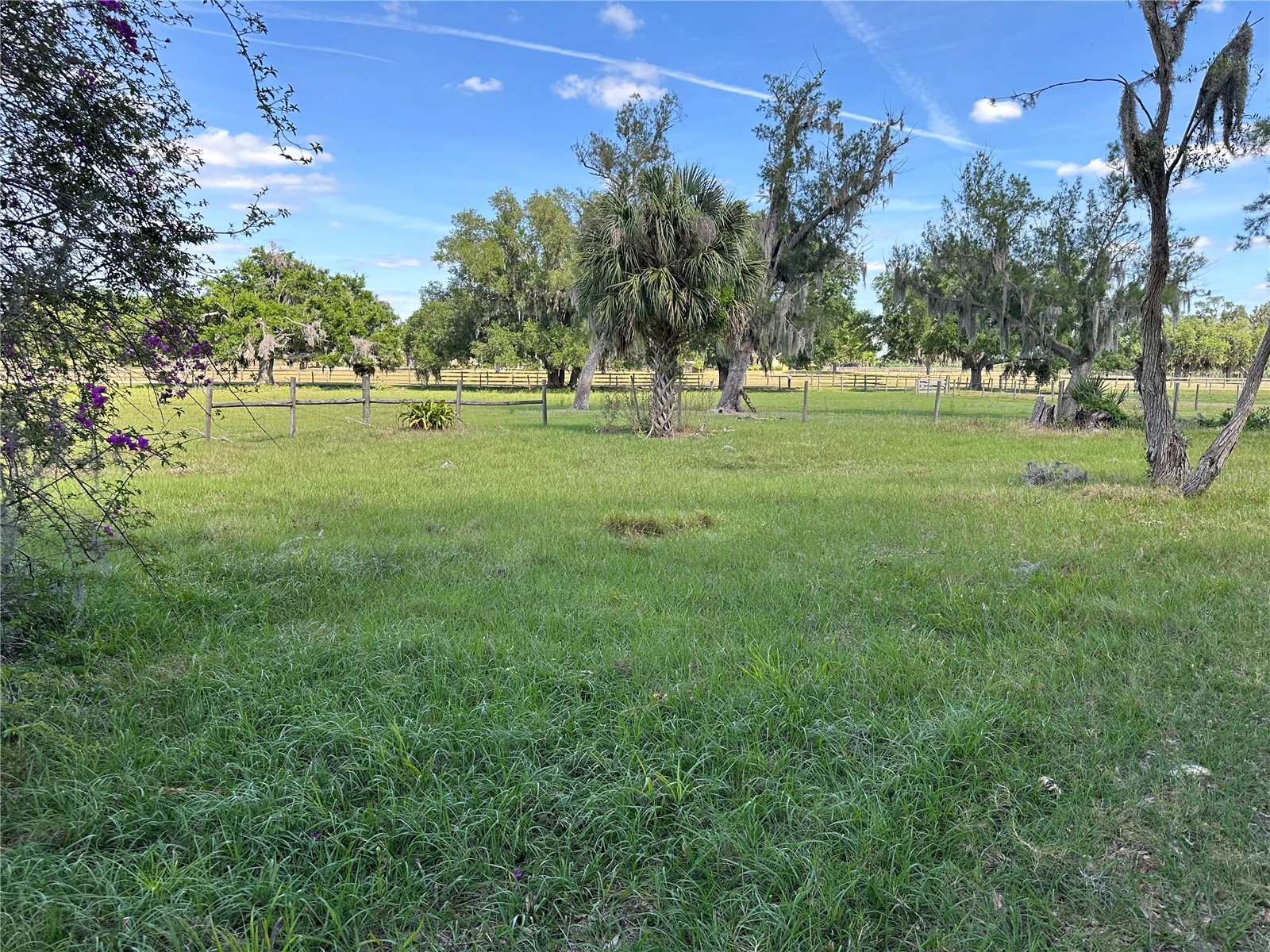 4090 Carlton Road Sarasota FL 34240 A4693583 image3