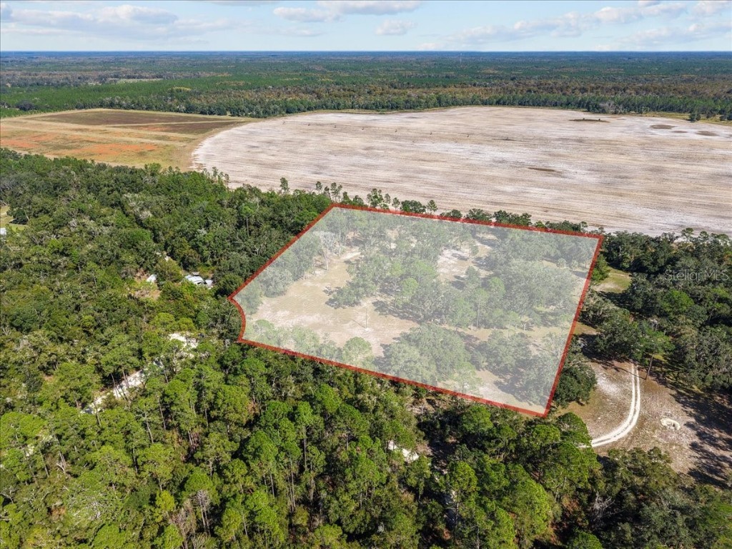 4090 NW 32nd Place Chiefland FL 32626 W7880363 image10