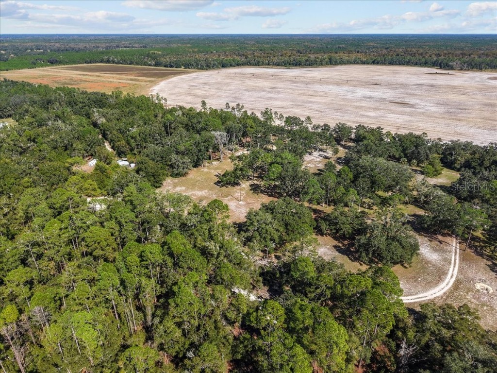 4090 NW 32nd Place Chiefland FL 32626 W7880363 image11