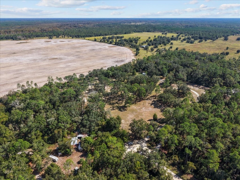 4090 NW 32nd Place Chiefland FL 32626 W7880363 image13