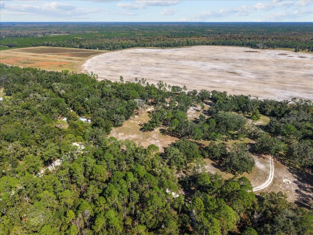 4090 NW 32nd Place Chiefland FL 32626 W7880363 image15