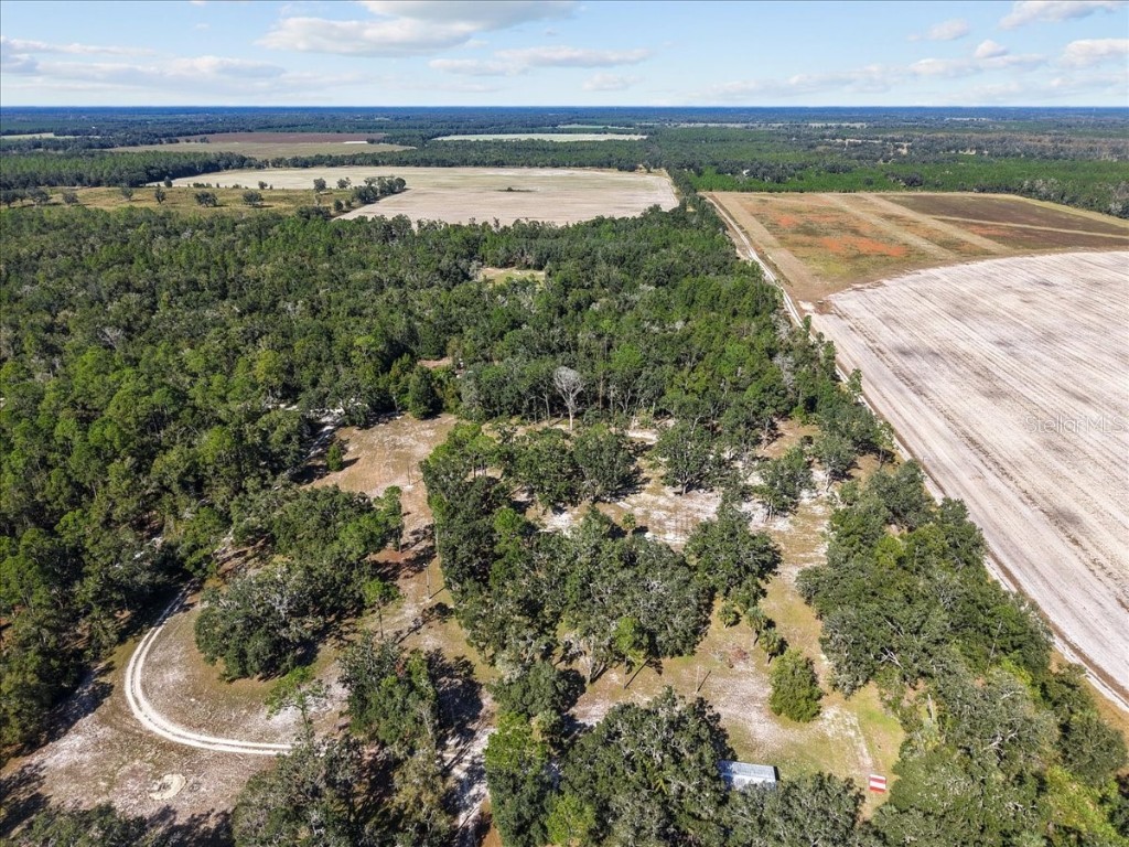 4090 NW 32nd Place Chiefland FL 32626 W7880363 image17