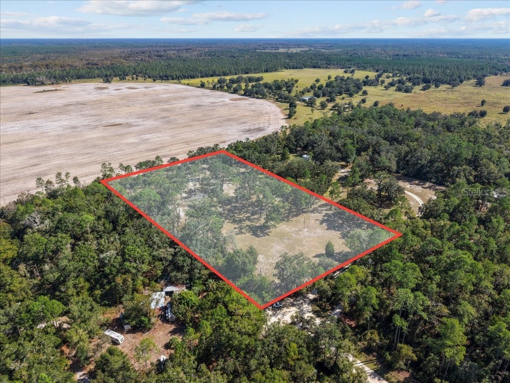 4090 NW 32nd Place Chiefland FL 32626 W7880363 image7