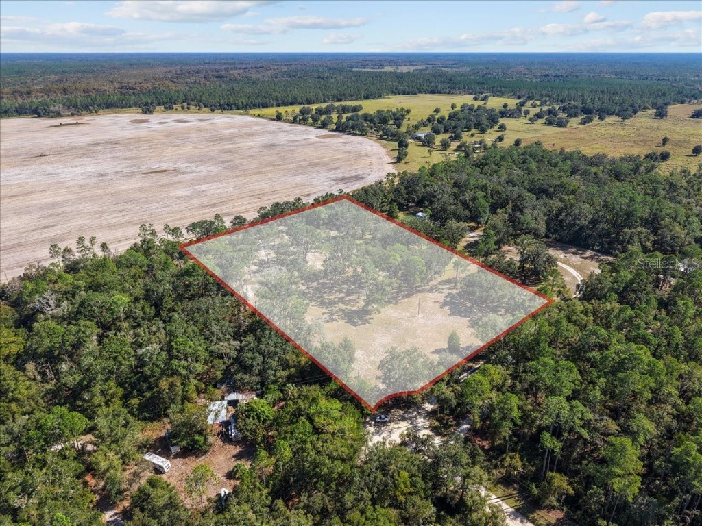 4090 NW 32nd Place Chiefland FL 32626 W7880363 image9