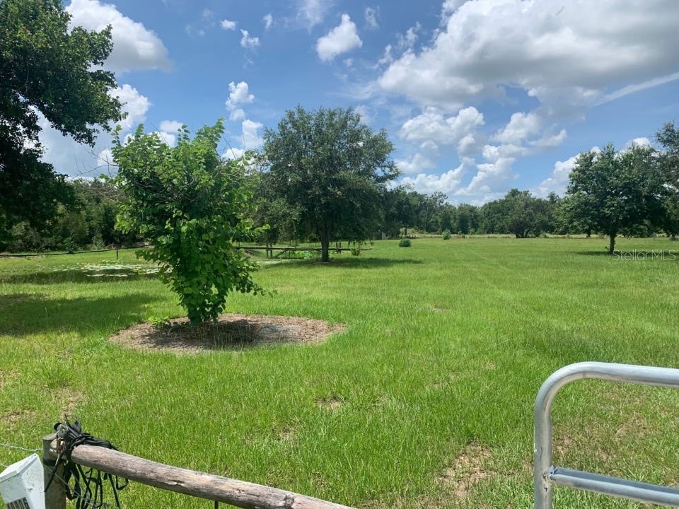 40906 11th Avenue E Myakka City FL 34251 TB8519330 image2