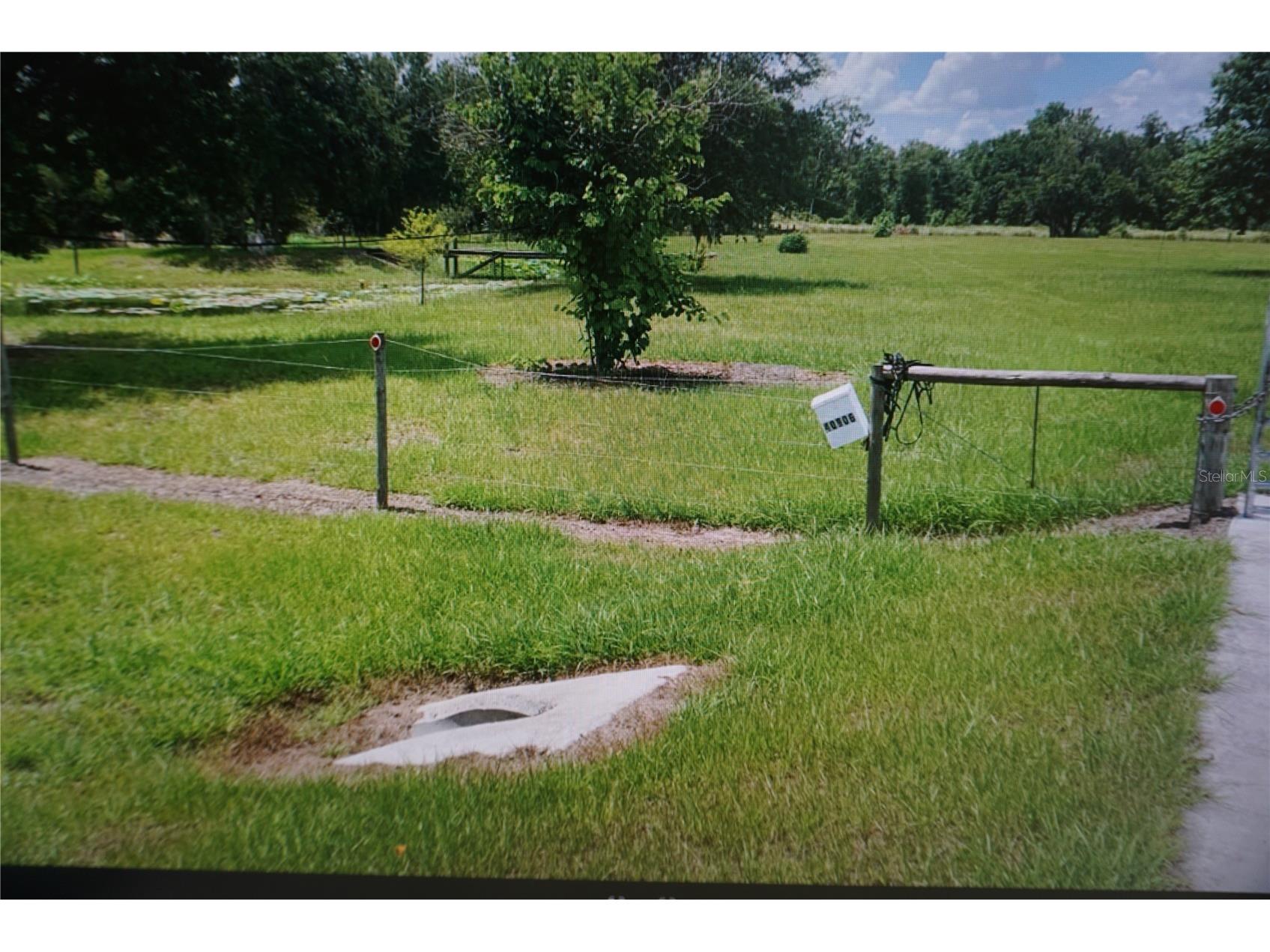 40906 11th Avenue E Myakka City FL 34251 TB8519330 image4