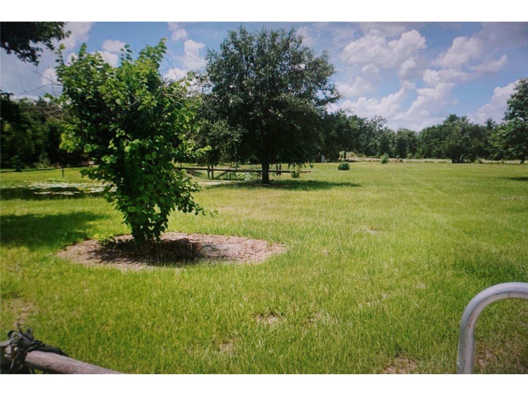 40906 11th Avenue E Myakka City FL 34251 TB8519330 image7
