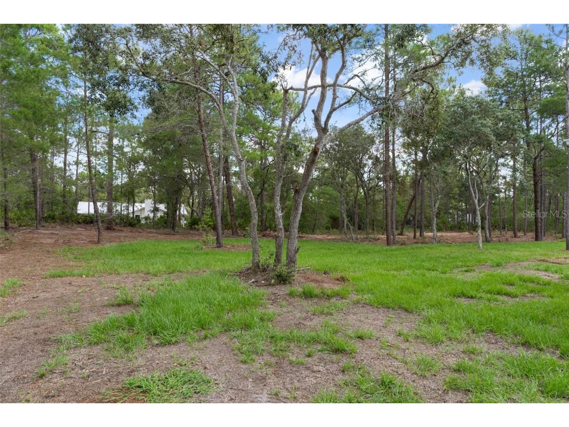 4091 W Pinto Loop Beverly Hills FL 34465 OM704310 image55