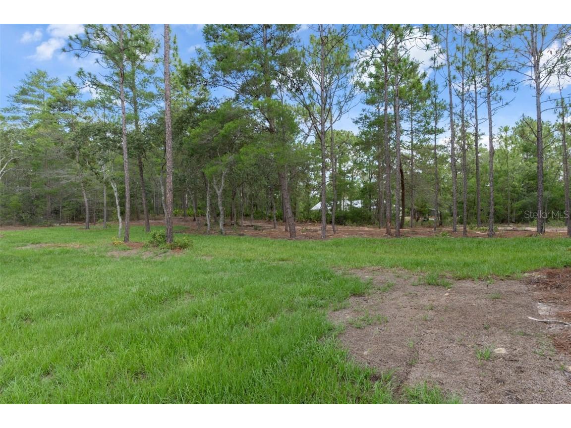 4091 W Pinto Loop Beverly Hills FL 34465 OM704310 image56