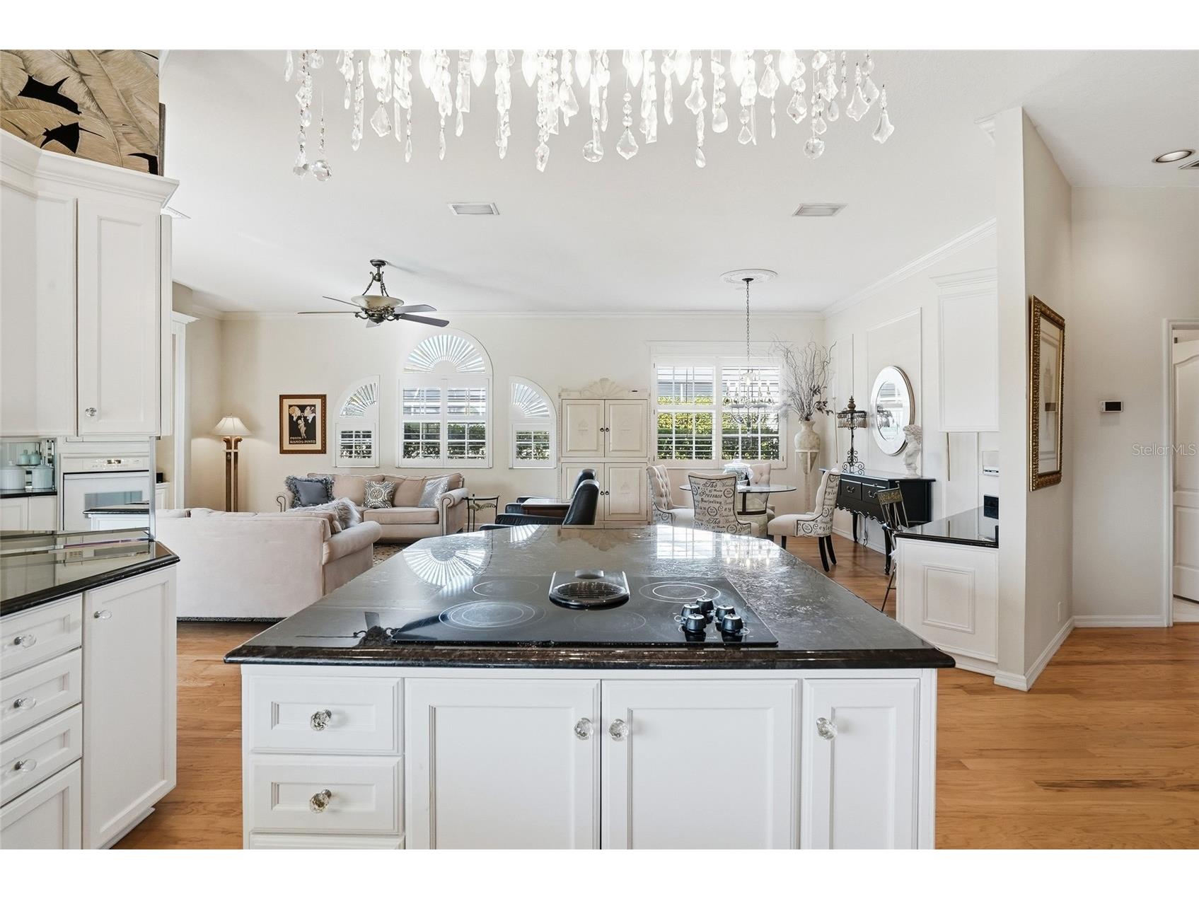 4092 Carlyle Lakes Boulevard Palm Harbor FL 34685 TB8465841 image19