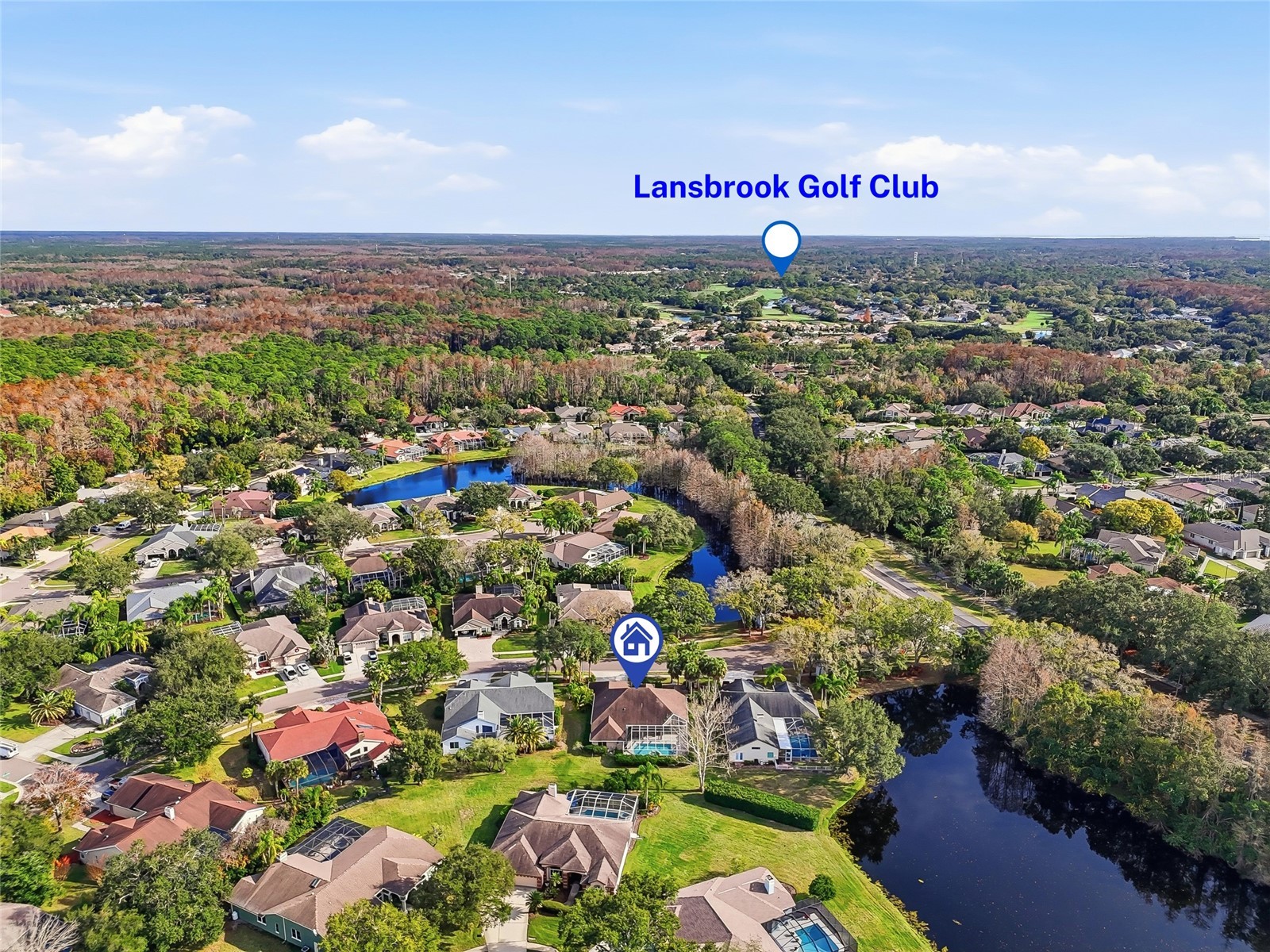 4092 Carlyle Lakes Boulevard Palm Harbor FL 34685 TB8465841 image44