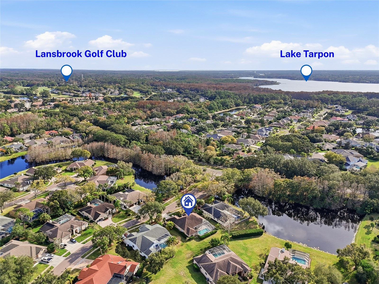 4092 Carlyle Lakes Boulevard Palm Harbor FL 34685 TB8465841 image45