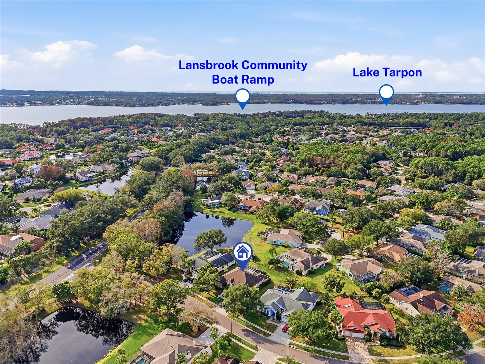 4092 Carlyle Lakes Boulevard Palm Harbor FL 34685 TB8465841 image46