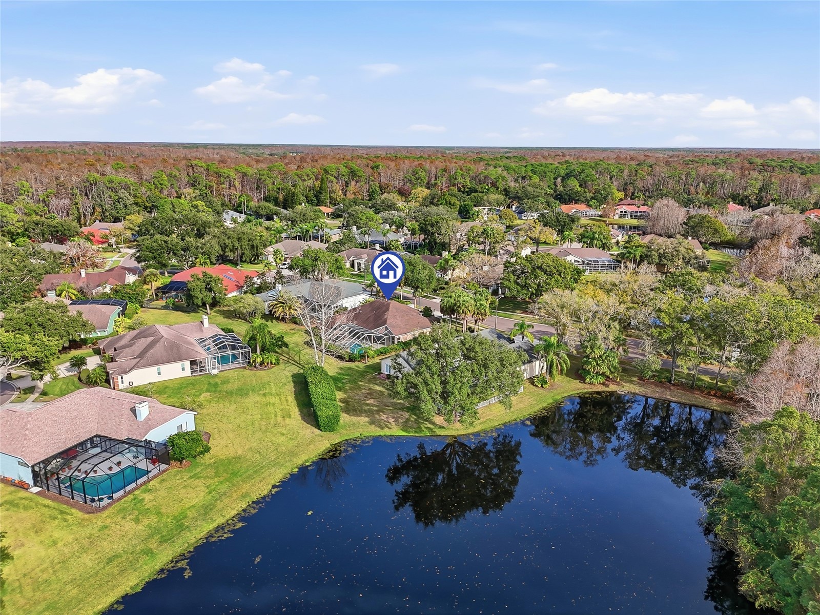4092 Carlyle Lakes Boulevard Palm Harbor FL 34685 TB8465841 image47