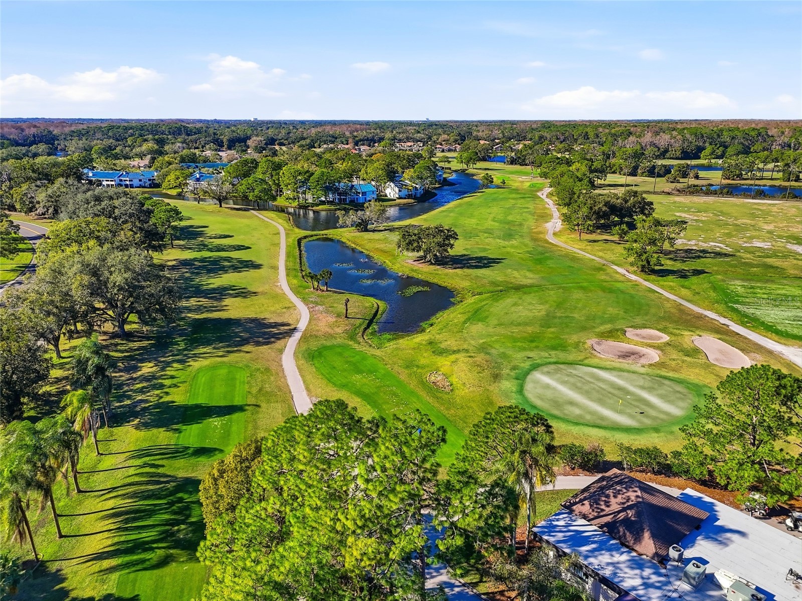 4092 Carlyle Lakes Boulevard Palm Harbor FL 34685 TB8465841 image48