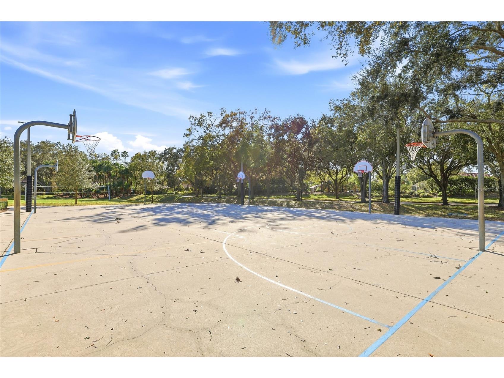 4092 Carlyle Lakes Boulevard Palm Harbor FL 34685 TB8465841 image50