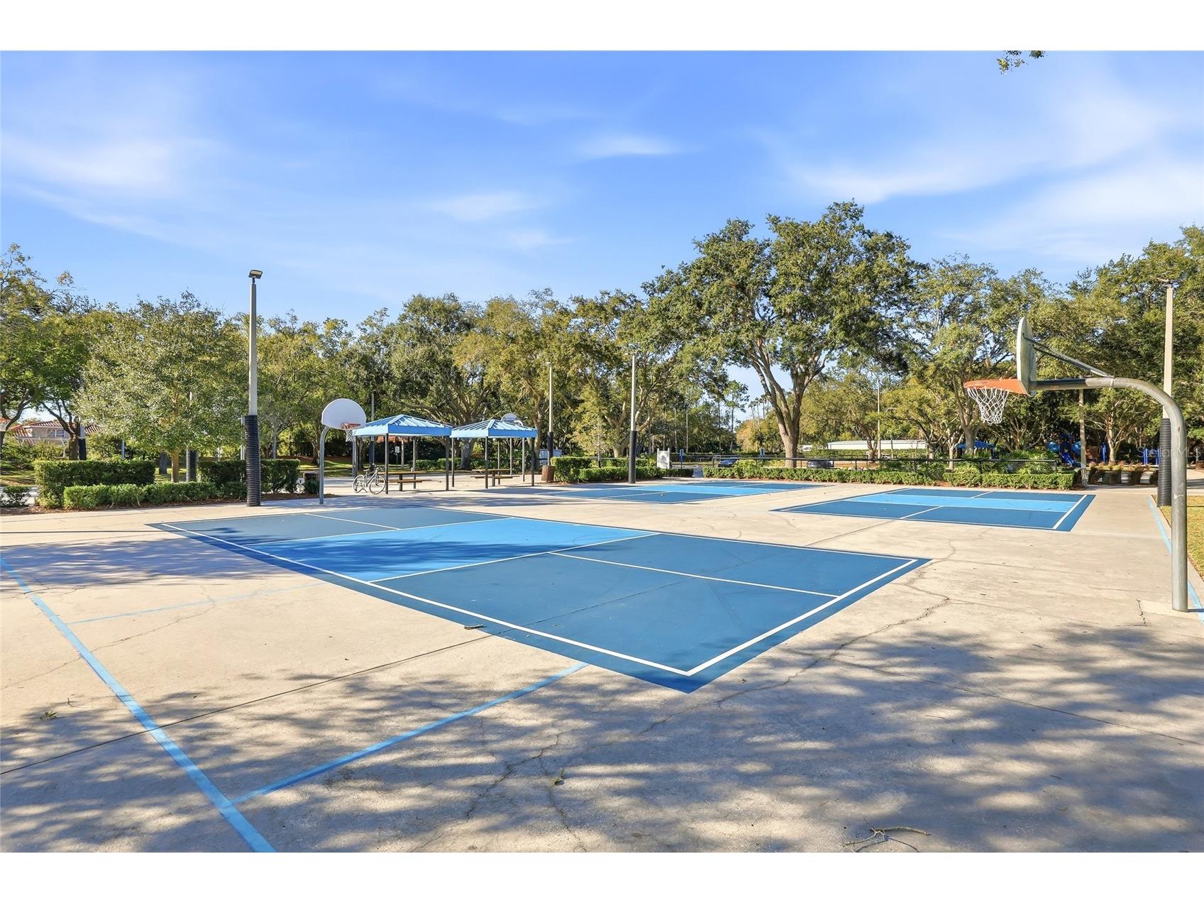 4092 Carlyle Lakes Boulevard Palm Harbor FL 34685 TB8465841 image52