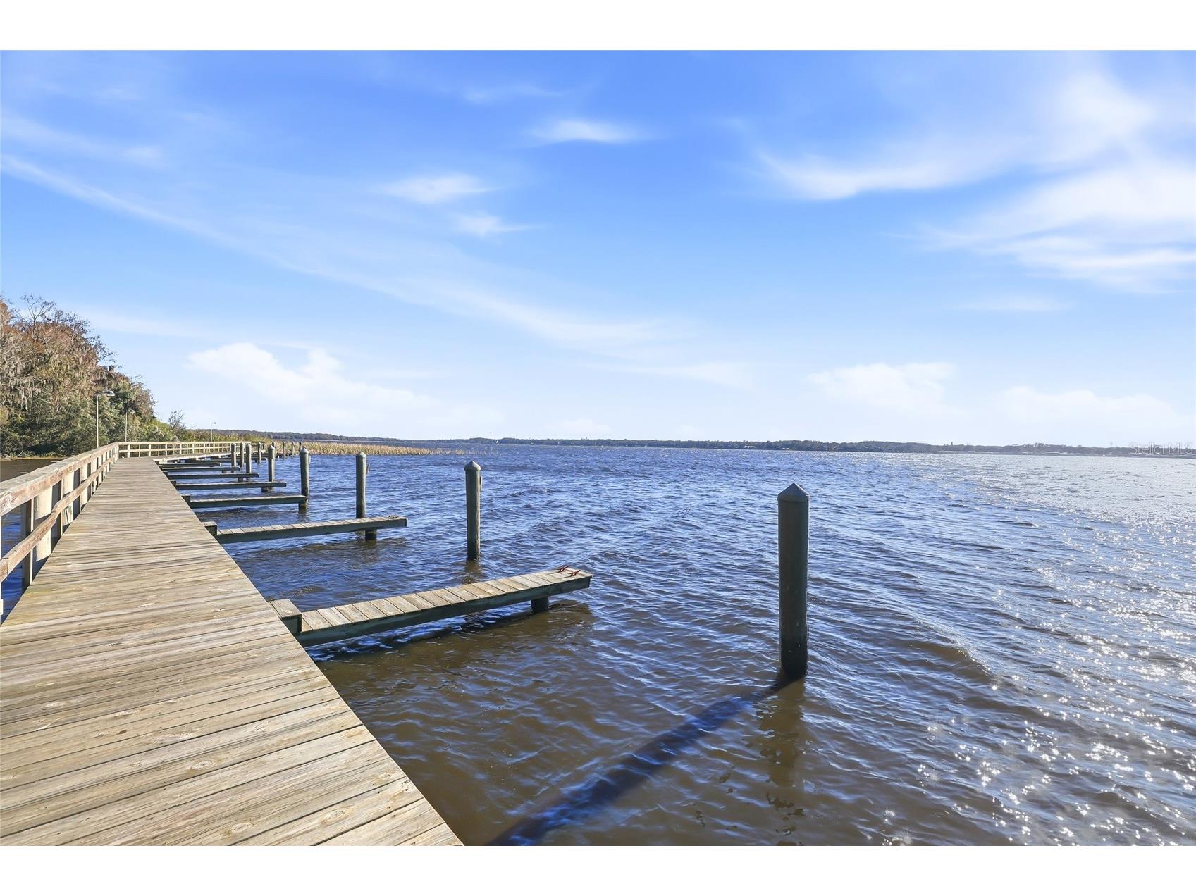4092 Carlyle Lakes Boulevard Palm Harbor FL 34685 TB8465841 image56