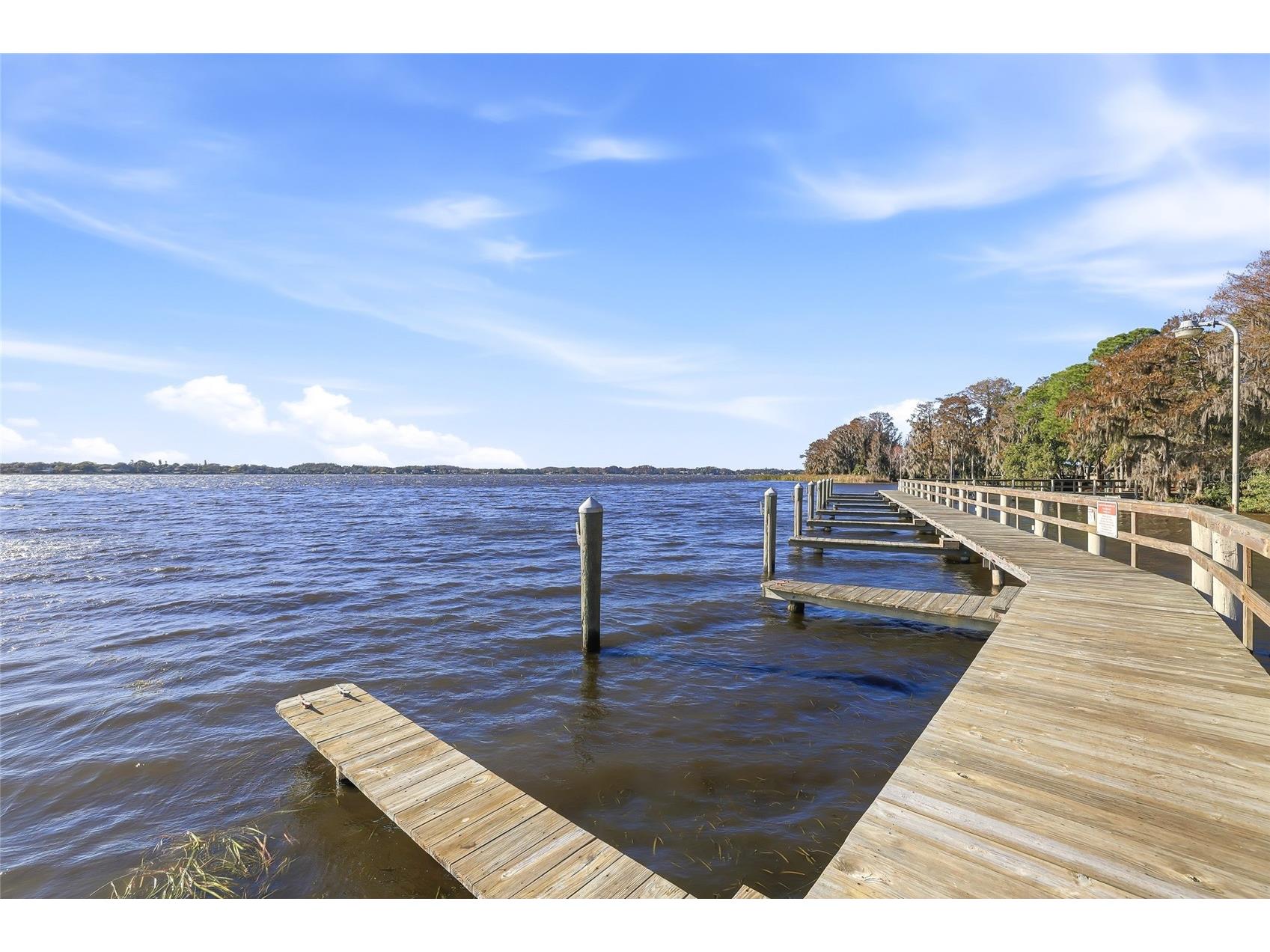 4092 Carlyle Lakes Boulevard Palm Harbor FL 34685 TB8465841 image57