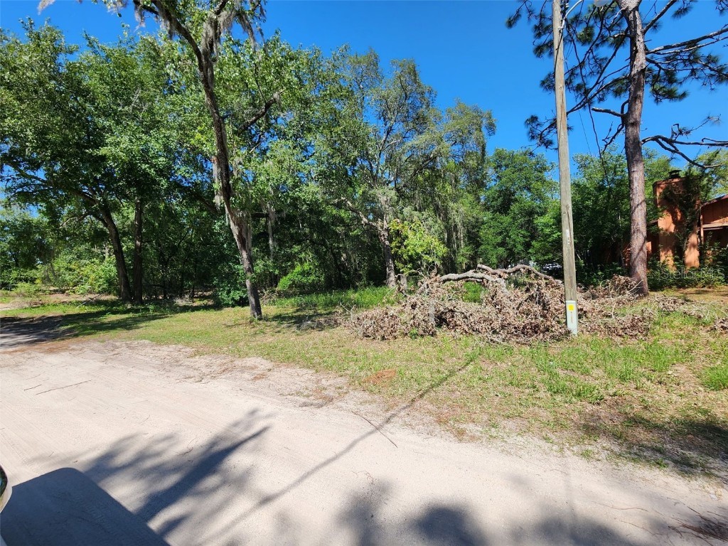 40932 W 3rd Avenue Umatilla FL 32784 G5068447 image1