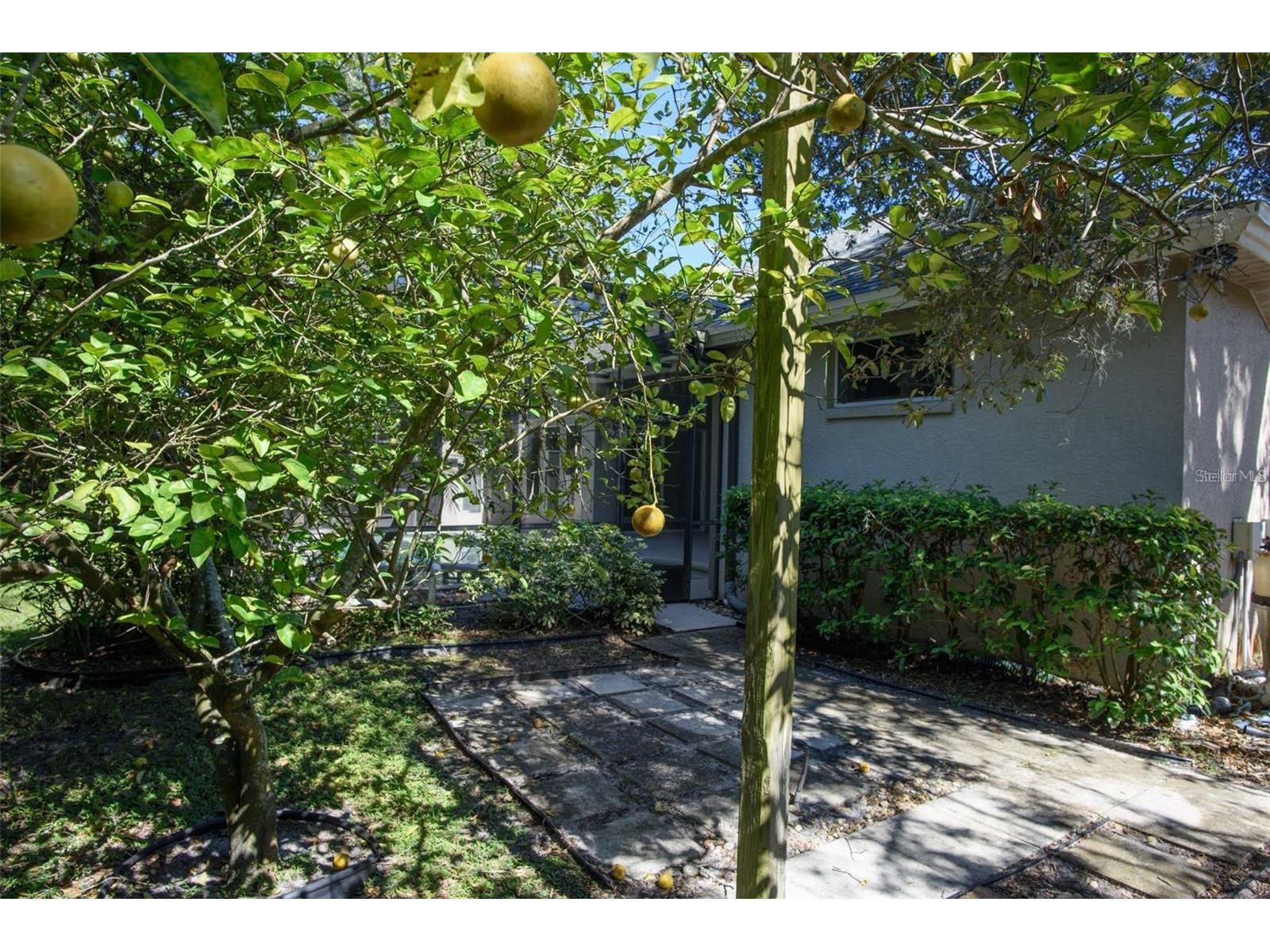 4094 Cardinal Glen Place Oviedo FL 32765 O6406774 image23