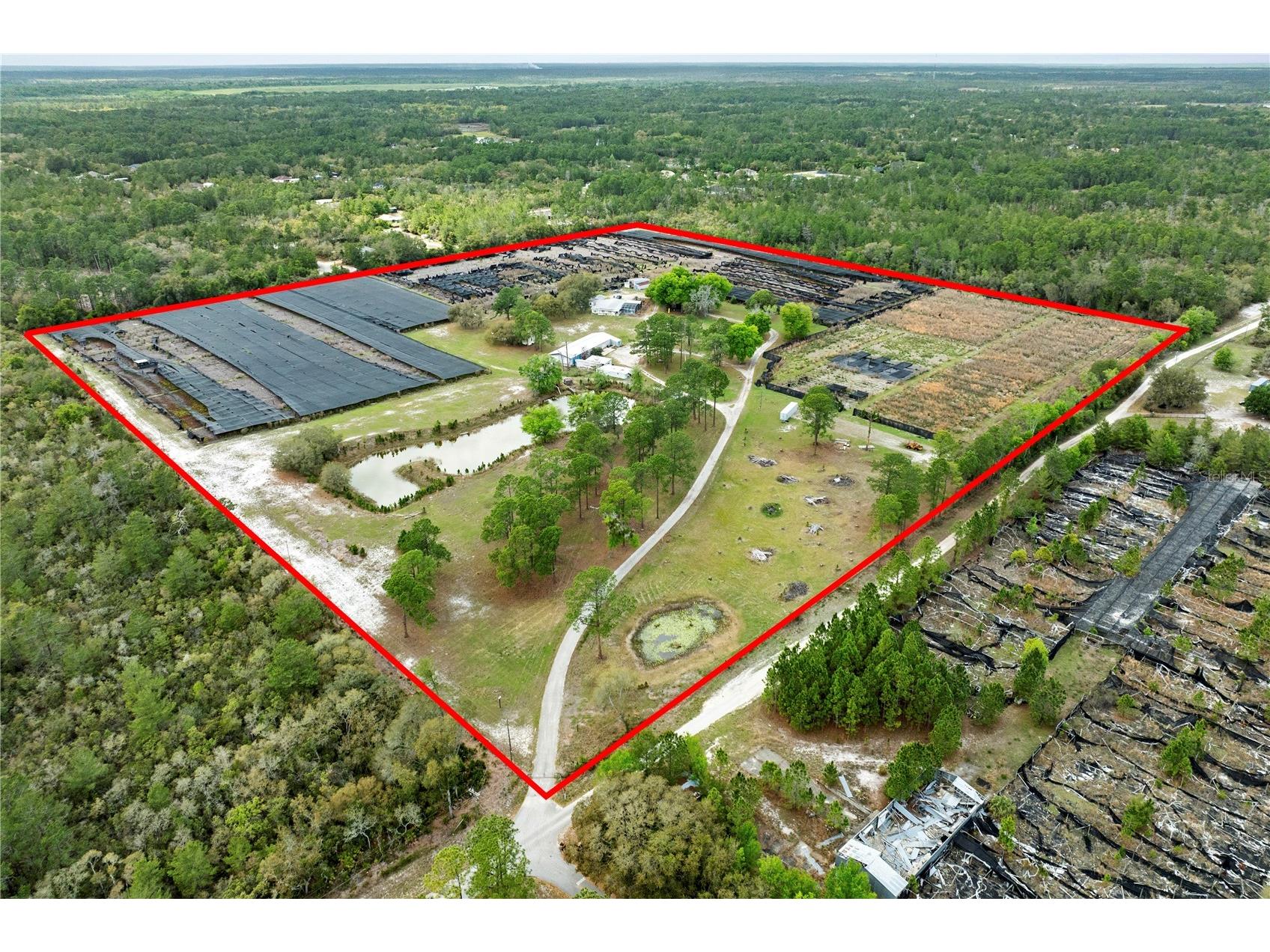 40945 Beach Eustis FL 32736 O6396224 image1