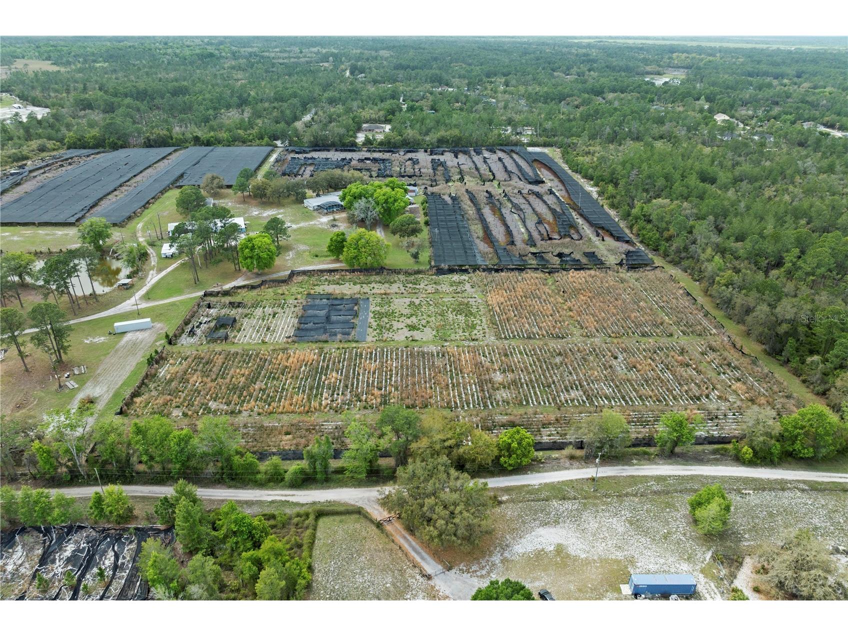 40945 Beach Eustis FL 32736 O6396224 image48