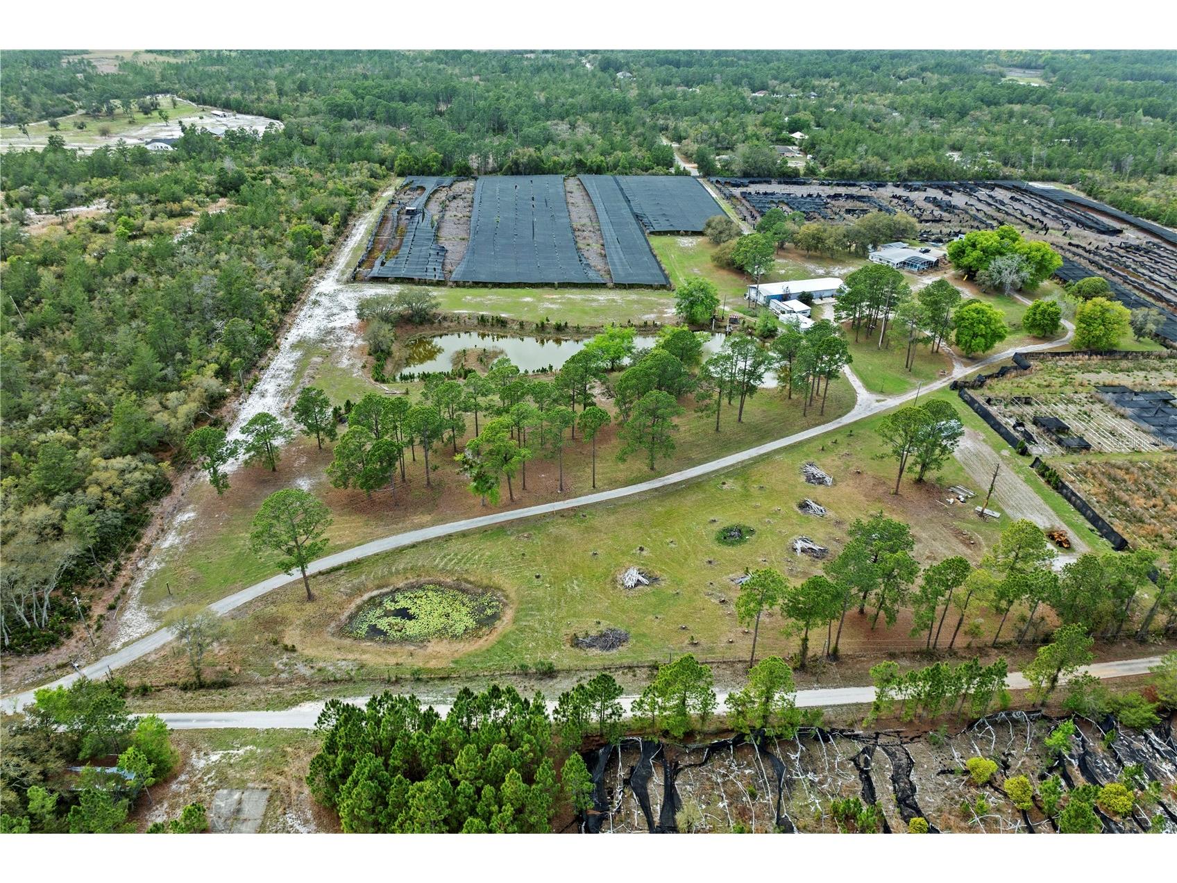40945 Beach Eustis FL 32736 O6396224 image49