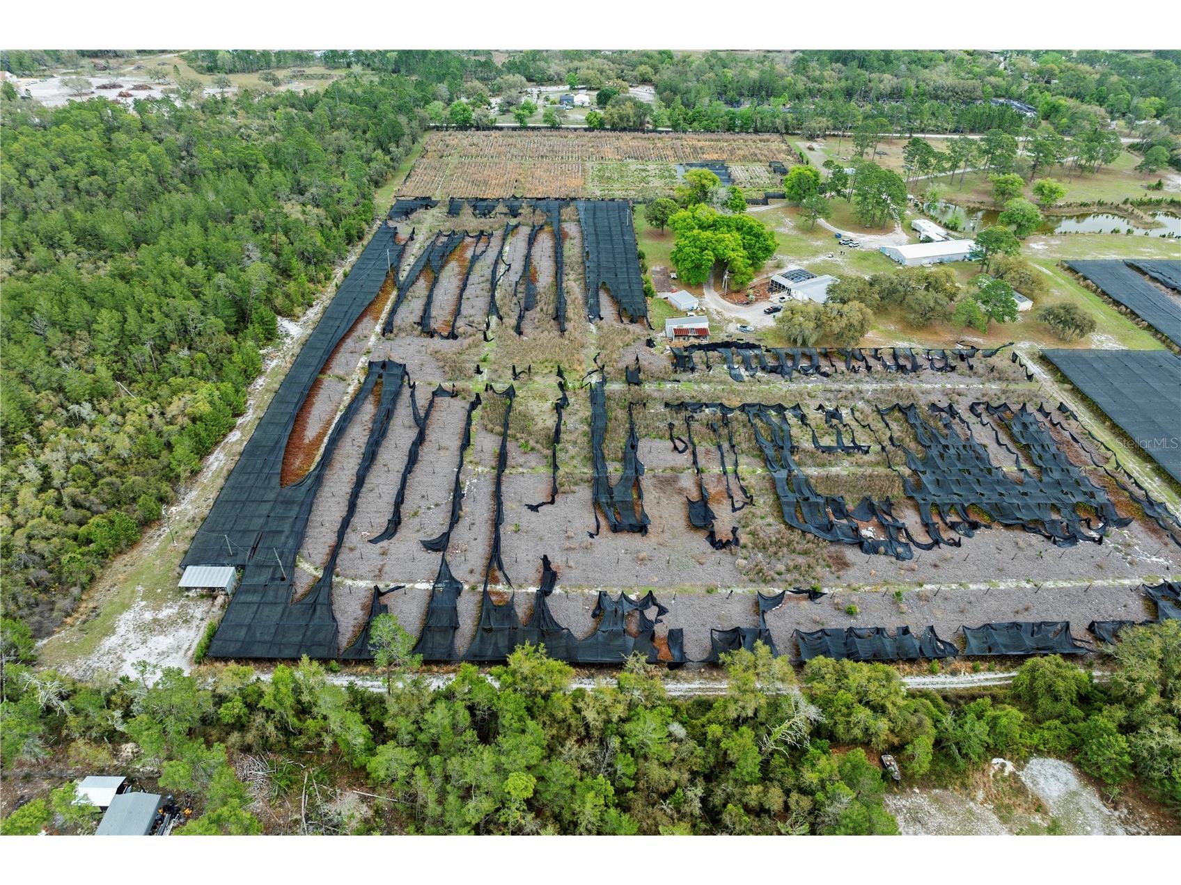 40945 Beach Road Eustis FL 32736 O6396218 image7