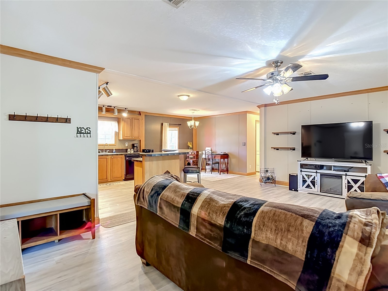 40949 Jerry Road Zephyrhills FL 33540 TB8504086 image13