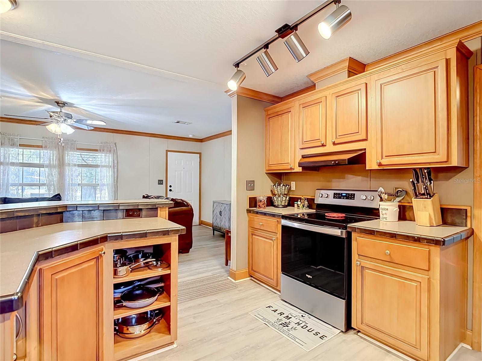 40949 Jerry Road Zephyrhills FL 33540 TB8504086 image19