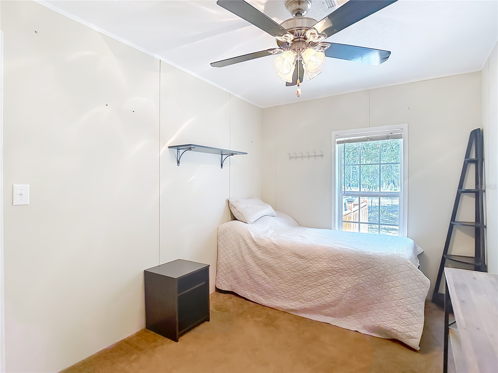 40949 Jerry Road Zephyrhills FL 33540 TB8504086 image29